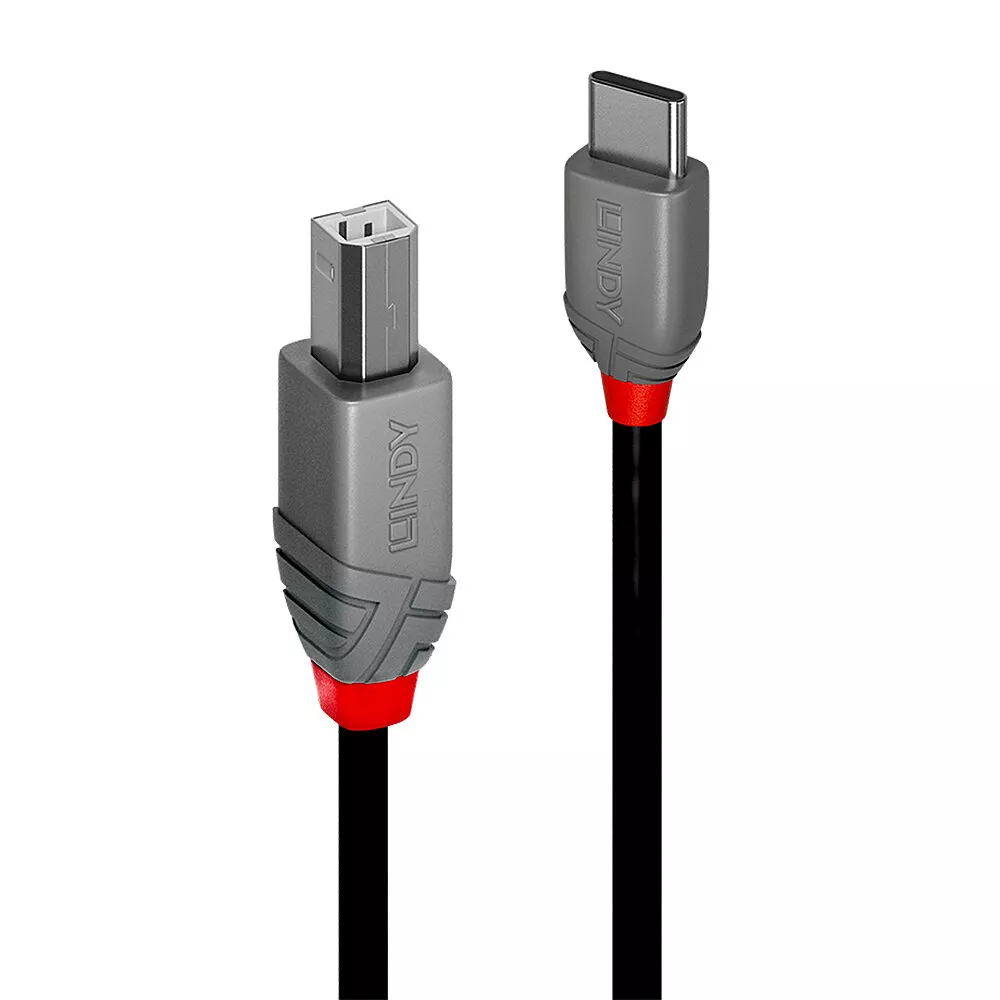 Achat LINDY 0.5m USB 2.0 Type C an B Cable Anthra Line au meilleur prix