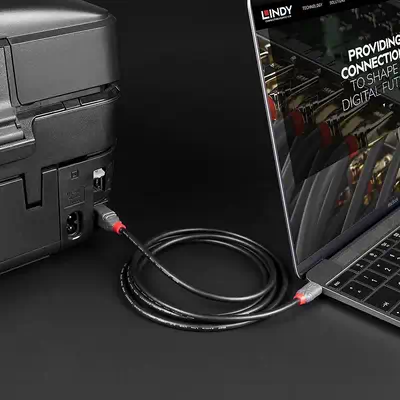 LINDY 0.5m USB 2.0 Type C an B Cable Anthra Line - Lindy - Câble USB - visuel 5