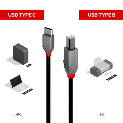 LINDY 0.5m USB 2.0 Type C an B Cable Anthra Line - Lindy - Câble USB - visuel 3