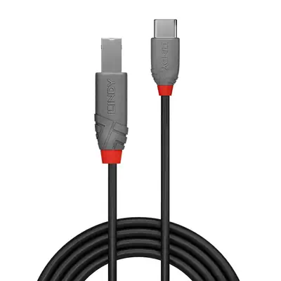 LINDY 0.5m USB 2.0 Type C an B Cable Anthra Line - Lindy - Câble USB - visuel 2