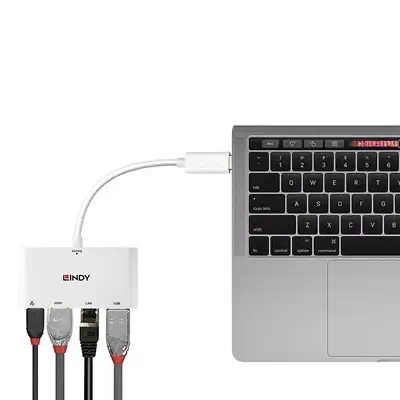 Lindy 43239 adaptateur graphique USB Blanc - Switchs et Hubs - visuel 2