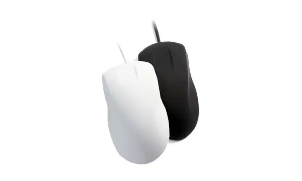 Active Key AK-PMH1 souris Ambidextre USB Type-A Optique 800 DPI - Souris - visuel 2