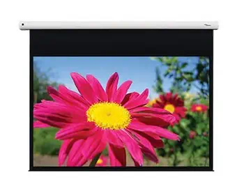 Ecran de projection 3,12 m (123") livraison gratuite