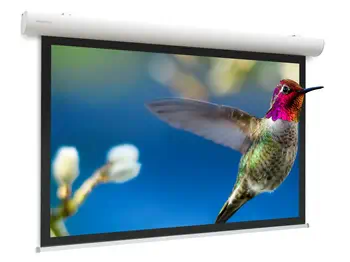 Ecran de projection 136" livraison rapide