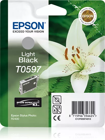 Achat EPSON T0597 cartouche d encre noir clair capacité standard - 8715946356624