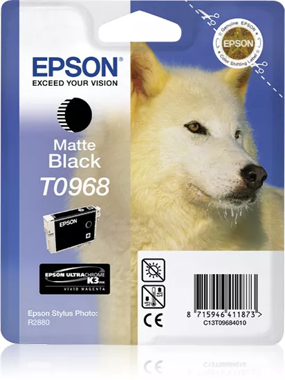 Achat EPSON T0968 cartouche d encre noir mat capacité standard au meilleur prix