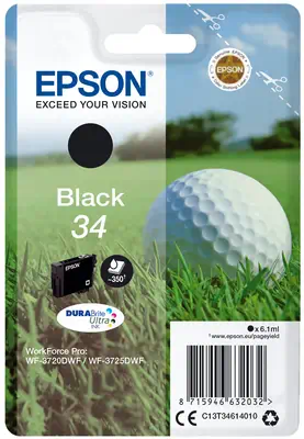 Epson Golf ball Singlepack Black 34 DURABrite Ultra Epson - visuel 1 - hello RSE - Découvrez la gamme