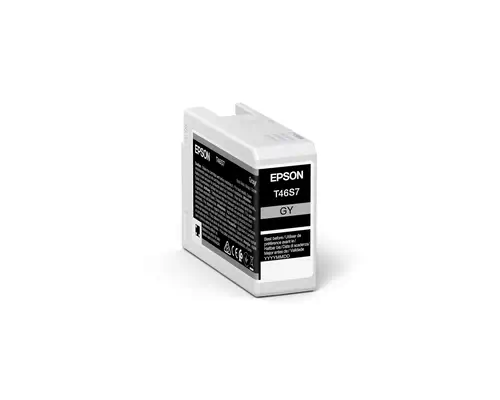 Epson UltraChrome Pro cartouche d'encre 1 pièce(s) Original Gris - Cartouches d'encre - visuel 1
