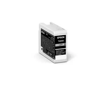 Meilleur prix Cartouches d'encre Epson Gris clair