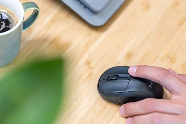 Trust Primo souris Voyage Ambidextre RF sans fil Optique 1600 DPI - Souris - visuel 8