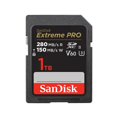 Sandisk SDSDXEP-1T00-GN4IN  - Carte Mémoire - visuel 1