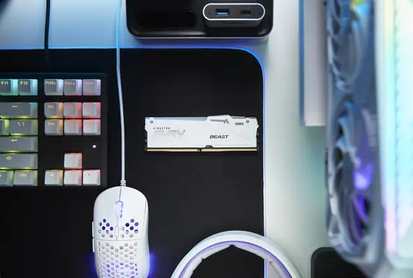 32 Go 5600 MT/s DDR5 CL36 DIMM FURY Beast White RGB EXPO - Kingston - Mémoire - visuel 8