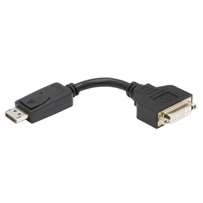 Vente EATON TRIPPLITE DisplayPort to DVI-I Adapter Cable M/F Tripp Lite au meilleur prix - visuel 2