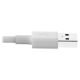 Vente EATON TRIPPLITE USB-A to Lightning Sync/Charge Cable Tripp Lite au meilleur prix - visuel 4