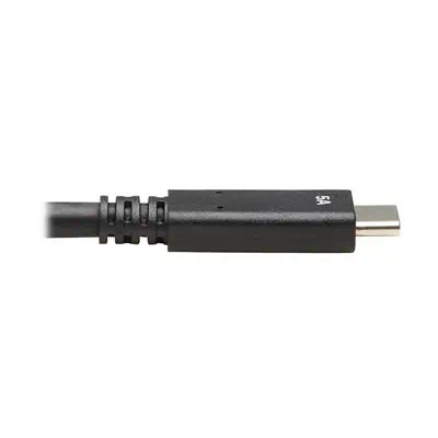 Tripp Lite U420-20N-G2-5A câble USB USB 3.2 Gen 2 (3.1 Gen 2) 0,5 m USB C 10 Gbit/s Noir - Accessoire Onduleur - visuel 6
