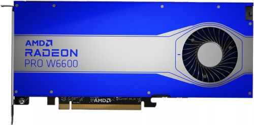 Achat HP AMD Radeon Pro W6600 8Go GDDR6 4DP GFX - 0195697639050