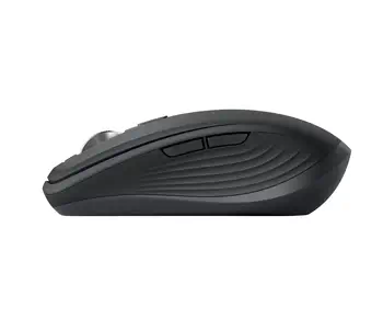 Avis Souris  
