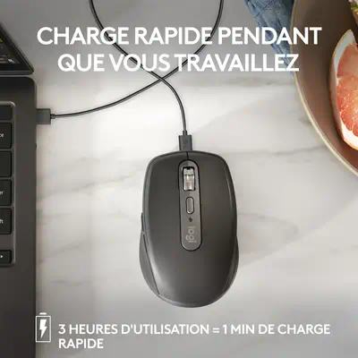 Logitech 910-006929 souris Bureau Droitier RF sans fil + Bluetooth Laser 8000 DPI - Souris - visuel 6