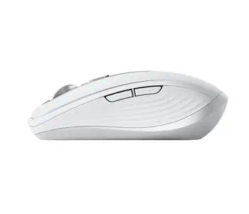 Livraison rapide Souris 6