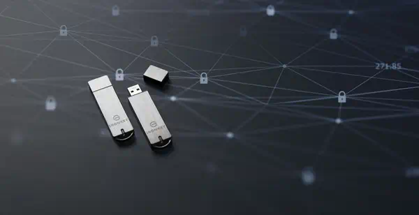 64Go IronKey Basic S1000 Encrypted USB 3.0 FIPS 140-2 Level 3 - Kingston - Adaptateur stockage - visuel 10