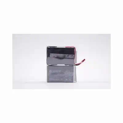 Eaton EB010SP Batterie de l'onduleur Sealed Lead Acid (VRLA) 6 V 9 Ah - Accessoire Onduleur - visuel 1