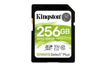 Carte Mémoire Kingston 256 Go avis