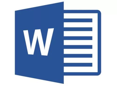 Licence perpétuelle Microsoft Word Entreprise