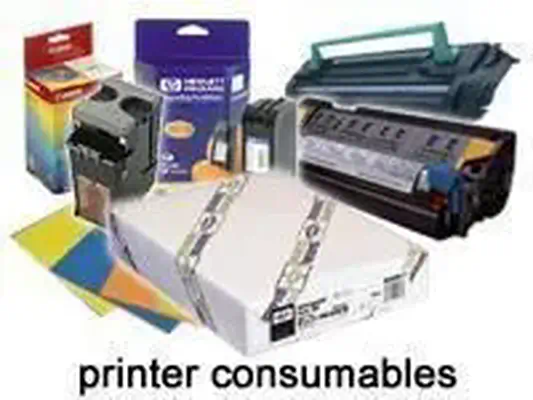 Epson Pap d'Art Somerset Velvet 255g 24" (0,610x15m - Autre Imprimante - visuel 1