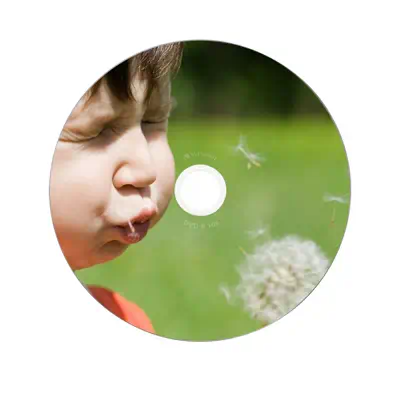 Verbatim 43521 DVD vierge 4,7 Go DVD-R 10 pièce(s) - Accessoire Stockage - visuel 4