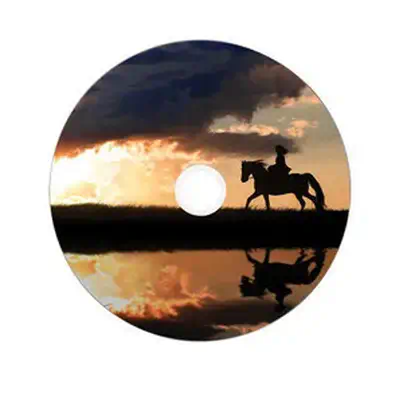 Verbatim 43703 DVD vierge 8,5 Go DVD-R 50 pièce(s) - Accessoire Stockage - visuel 3