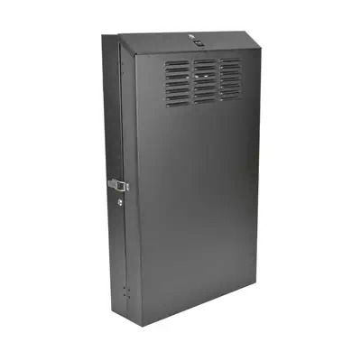 Tripp Lite SRWF4U36 étagère 4U Rack monté sur le mur Noir - Rack et Armoire - visuel 1