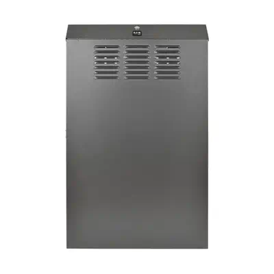 Tripp Lite SRWF6U36 accessoire de racks Tripp Lite - visuel 1 - hello RSE - Capacité robuste