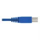 Vente EATON TRIPPLITE DisplayPort KVM Cable Kit for Tripp Tripp Lite au meilleur prix - visuel 10