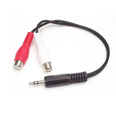 StarTech Câble Adaptateur Audio Mini-Jack 3.5mm Mâle vers - Câble Audio - visuel 1