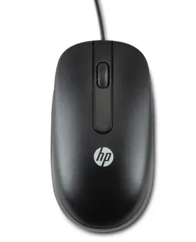 Avis Souris 3