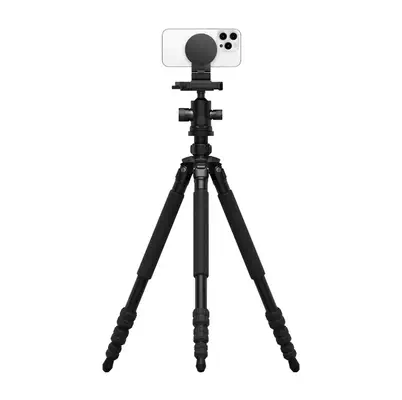 Belkin MMA007BTGY support Support passif Mobile/smartphone Noir - Accessoire Vidéoprojecteur - visuel 3