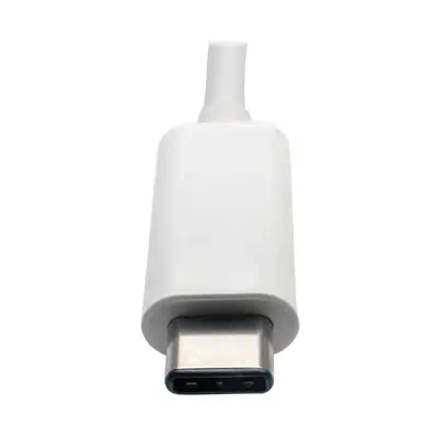 Tripp Lite U444-06N-HGU-C adaptateur graphique USB 1920 x 1080 pixels Blanc - Station d'accueil pour portable - visuel 10
