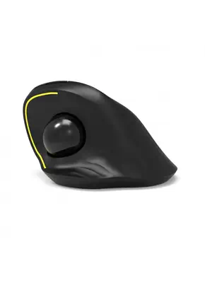 Port Designs 900719 souris Bureau Droitier RF sans fil + Bluetooth Optique 1600 DPI - Souris - visuel 4