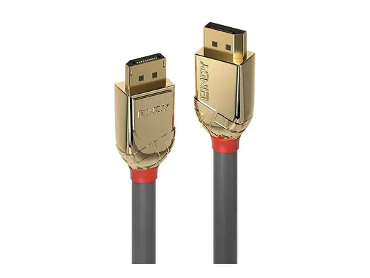 LINDY 0.5m DisplayPort Cable Gold Line DP Male to Male - Lindy - Câble Audio - visuel 1