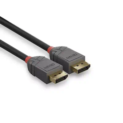 LINDY Câble DisplayPort 1.4 Anthra Line 0.5m - Lindy - Câble Audio - visuel 3