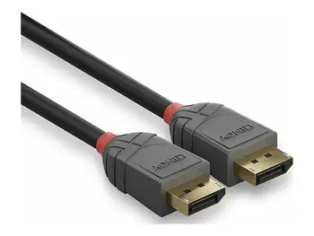 LINDY Câble DisplayPort 1.4 Anthra Line 0.5m offre