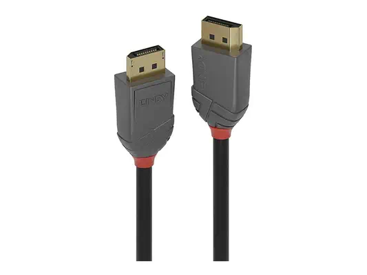 LINDY Câble DisplayPort 1.4 Anthra Line 0.5m - Lindy - Câble Audio - visuel 3