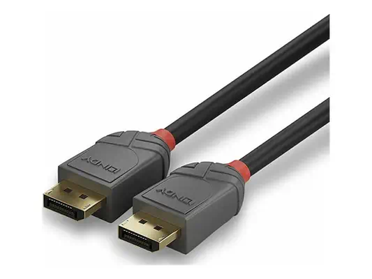 LINDY Câble DisplayPort 1.4 Anthra Line 0.5m - Lindy - Câble Audio - visuel 2