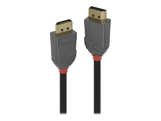 LINDY Câble DisplayPort 1.2 Anthra Line 3m - Lindy - Câble Audio - visuel 1