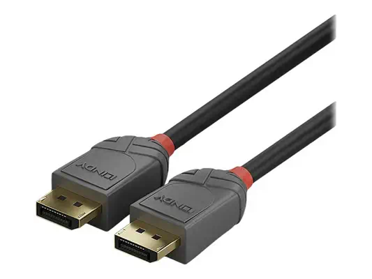 LINDY Câble DisplayPort 1.2 Anthra Line 3m - Lindy - Câble Audio - visuel 2