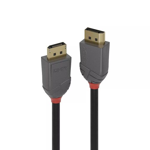 Revendeur officiel LINDY 10m DisplayPort 1.2 Cable Anthra Line DP Male to