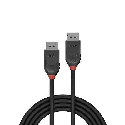 Achat LINDY 1m DisplayPort 1.2 Cable Black Line sur hello RSE - visuel 7