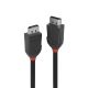 Vente LINDY 1m DisplayPort 1.2 Cable Black Line Lindy au meilleur prix - visuel 6