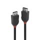 Vente LINDY 2m DisplayPort 1.2 Cable Black Line Lindy au meilleur prix - visuel 6