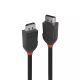 Achat LINDY 2m DisplayPort 1.2 Cable Black Line sur hello RSE - visuel 1